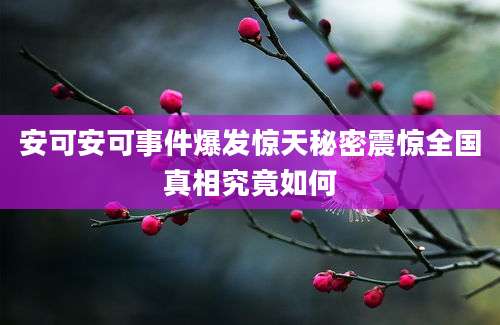 安可安可事件爆发惊天秘密震惊全国真相究竟如何