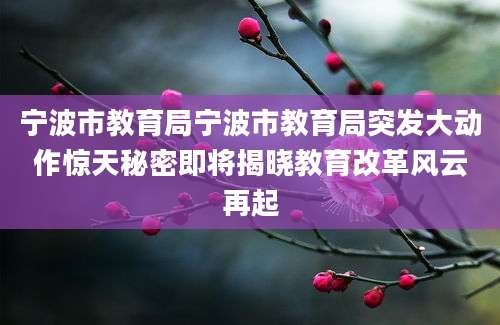 宁波市教育局宁波市教育局突发大动作惊天秘密即将揭晓教育改革风云再起