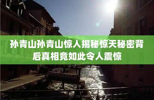 孙青山孙青山惊人揭秘惊天秘密背后真相竟如此令人震惊