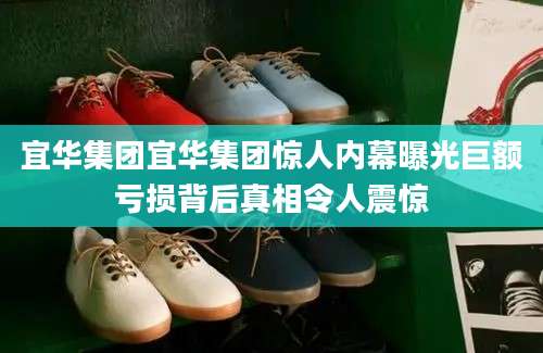 宜华集团宜华集团惊人内幕曝光巨额亏损背后真相令人震惊
