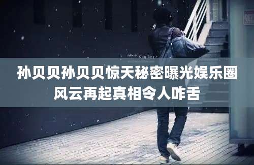 孙贝贝孙贝贝惊天秘密曝光娱乐圈风云再起真相令人咋舌