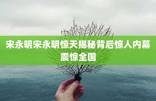 宋永明宋永明惊天揭秘背后惊人内幕震惊全国