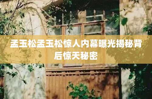 孟玉松孟玉松惊人内幕曝光揭秘背后惊天秘密