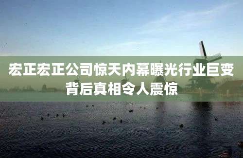 宏正宏正公司惊天内幕曝光行业巨变背后真相令人震惊