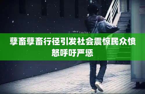 孽畜孽畜行径引发社会震惊民众愤怒呼吁严惩