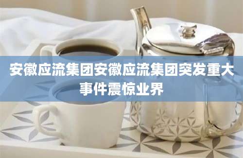 安徽应流集团安徽应流集团突发重大事件震惊业界