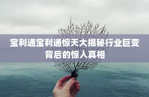 宝利通宝利通惊天大揭秘行业巨变背后的惊人真相