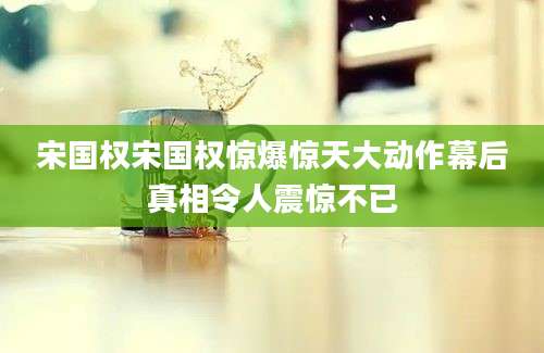 宋国权宋国权惊爆惊天大动作幕后真相令人震惊不已