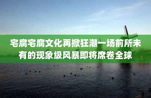 宅腐宅腐文化再掀狂潮一场前所未有的现象级风暴即将席卷全球