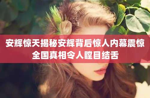安辉惊天揭秘安辉背后惊人内幕震惊全国真相令人瞠目结舌