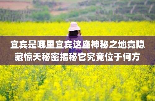 宜宾是哪里宜宾这座神秘之地竟隐藏惊天秘密揭秘它究竟位于何方