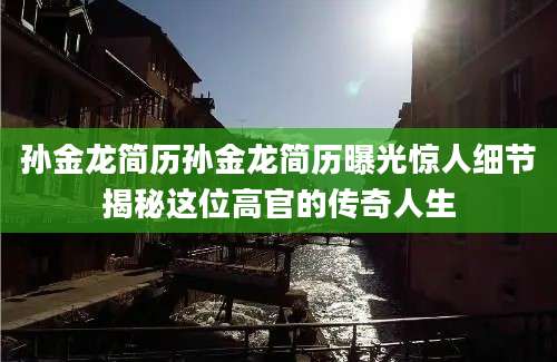 孙金龙简历孙金龙简历曝光惊人细节揭秘这位高官的传奇人生