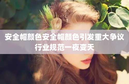 安全帽颜色安全帽颜色引发重大争议行业规范一夜变天