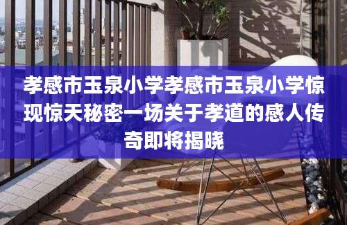孝感市玉泉小学孝感市玉泉小学惊现惊天秘密一场关于孝道的感人传奇即将揭晓