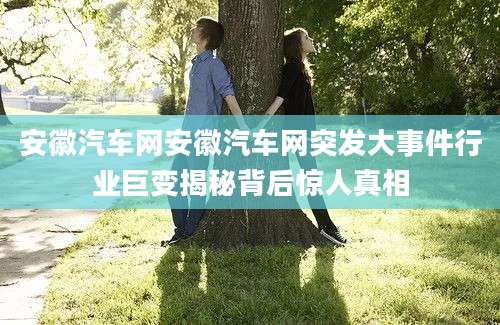 安徽汽车网安徽汽车网突发大事件行业巨变揭秘背后惊人真相
