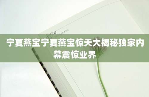 宁夏燕宝宁夏燕宝惊天大揭秘独家内幕震惊业界