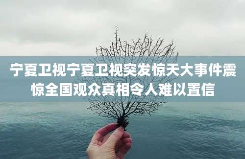 宁夏卫视宁夏卫视突发惊天大事件震惊全国观众真相令人难以置信