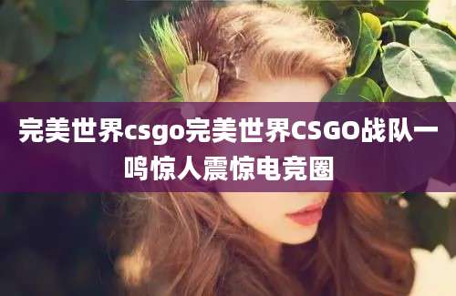 完美世界csgo完美世界CSGO战队一鸣惊人震惊电竞圈