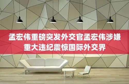 孟宏伟重磅突发外交官孟宏伟涉嫌重大违纪震惊国际外交界