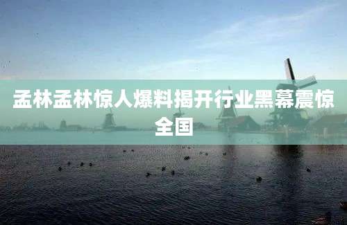 孟林孟林惊人爆料揭开行业黑幕震惊全国