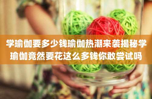 学瑜伽要多少钱瑜伽热潮来袭揭秘学瑜伽竟然要花这么多钱你敢尝试吗