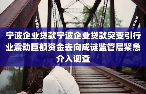 宁波企业贷款宁波企业贷款突变引行业震动巨额资金去向成谜监管层紧急介入调查