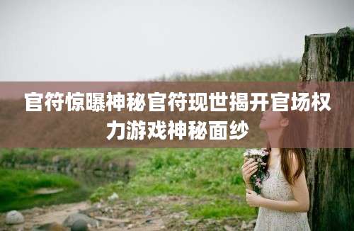 官符惊曝神秘官符现世揭开官场权力游戏神秘面纱