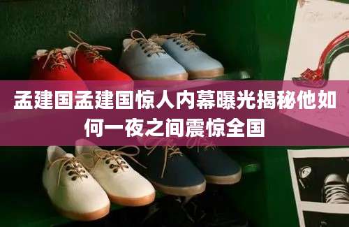 孟建国孟建国惊人内幕曝光揭秘他如何一夜之间震惊全国