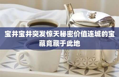 宝井宝井突发惊天秘密价值连城的宝藏竟藏于此地