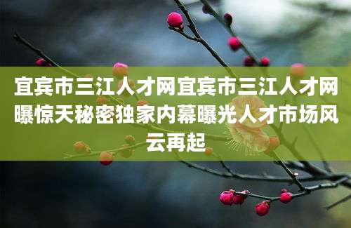 宜宾市三江人才网宜宾市三江人才网曝惊天秘密独家内幕曝光人才市场风云再起