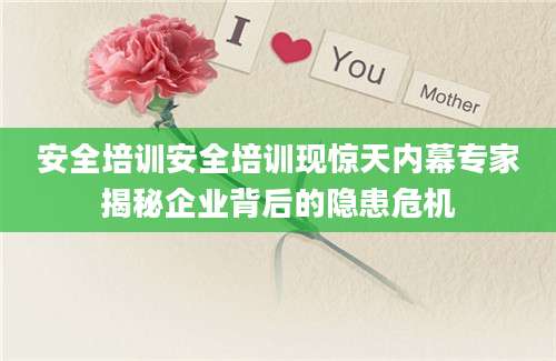 安全培训安全培训现惊天内幕专家揭秘企业背后的隐患危机