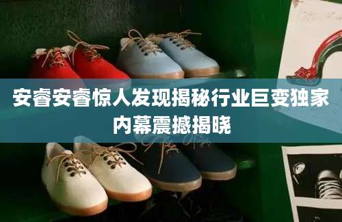 安睿安睿惊人发现揭秘行业巨变独家内幕震撼揭晓