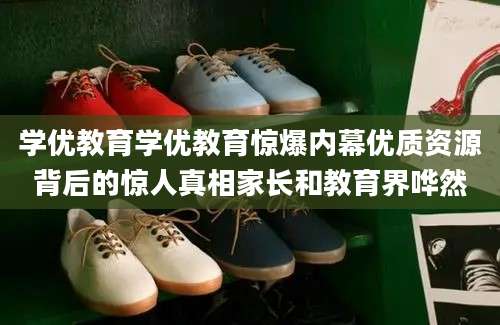 学优教育学优教育惊爆内幕优质资源背后的惊人真相家长和教育界哗然