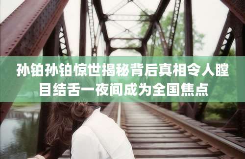 孙铂孙铂惊世揭秘背后真相令人瞠目结舌一夜间成为全国焦点