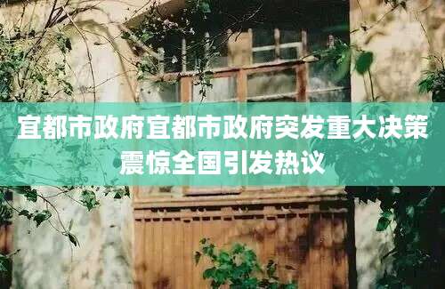 宜都市政府宜都市政府突发重大决策震惊全国引发热议