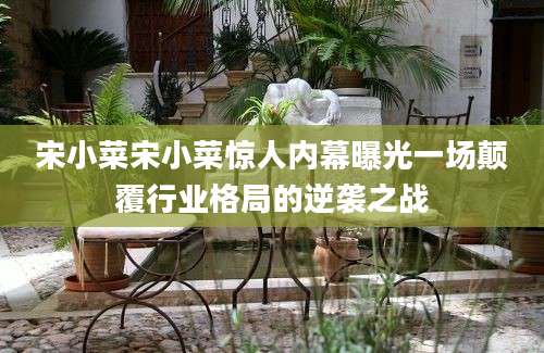 宋小菜宋小菜惊人内幕曝光一场颠覆行业格局的逆袭之战