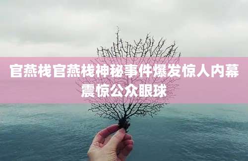 官燕栈官燕栈神秘事件爆发惊人内幕震惊公众眼球