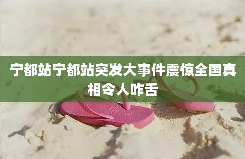 宁都站宁都站突发大事件震惊全国真相令人咋舌