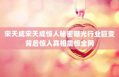 宋天成宋天成惊人秘密曝光行业巨变背后惊人真相震惊全网
