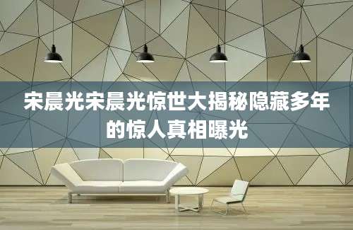 宋晨光宋晨光惊世大揭秘隐藏多年的惊人真相曝光