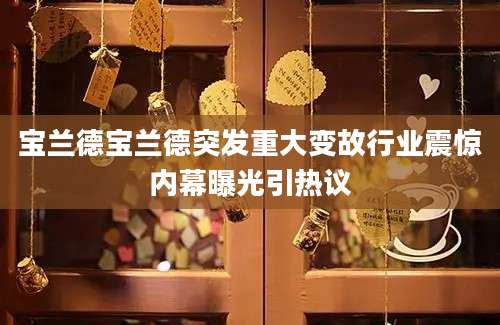 宝兰德宝兰德突发重大变故行业震惊内幕曝光引热议
