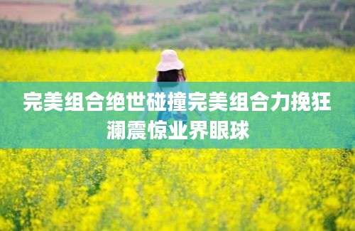 完美组合绝世碰撞完美组合力挽狂澜震惊业界眼球