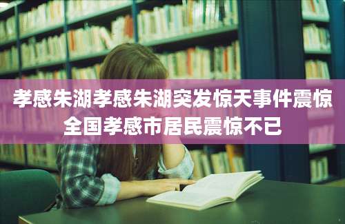 孝感朱湖孝感朱湖突发惊天事件震惊全国孝感市居民震惊不已