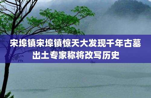 宋埠镇宋埠镇惊天大发现千年古墓出土专家称将改写历史