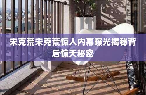 宋克荒宋克荒惊人内幕曝光揭秘背后惊天秘密