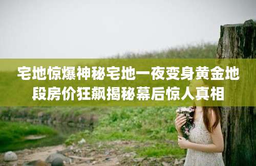 宅地惊爆神秘宅地一夜变身黄金地段房价狂飙揭秘幕后惊人真相
