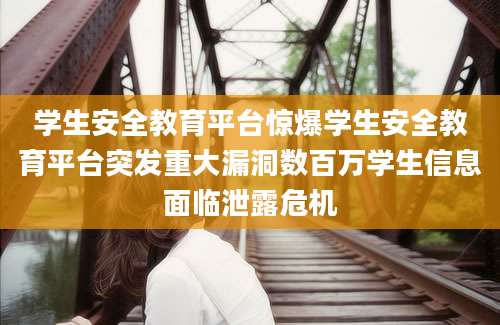 学生安全教育平台惊爆学生安全教育平台突发重大漏洞数百万学生信息面临泄露危机