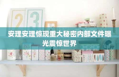 安理安理惊现重大秘密内部文件曝光震惊世界