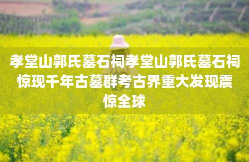 孝堂山郭氏墓石祠孝堂山郭氏墓石祠惊现千年古墓群考古界重大发现震惊全球