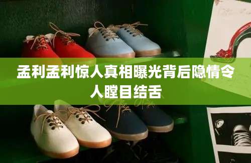 孟利孟利惊人真相曝光背后隐情令人瞠目结舌
